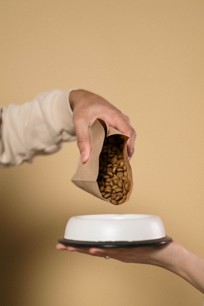 a person pouring dog food on the bowl